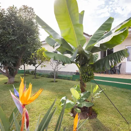 Flores De Erika- Dalias By Interhome *